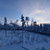 Image-square_50