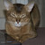 Image-square_50