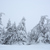 Image-square_50