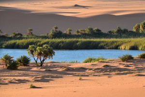 Image-preview_300x200