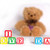 Image-square_50
