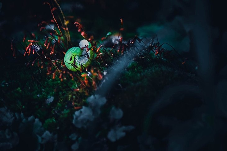 Image-normal