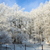 Image-square_50