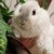 Image-square_50