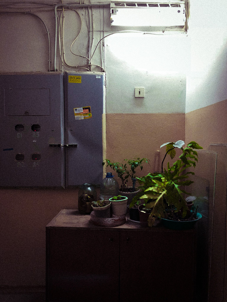 Image-normal
