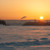 Image-square_50
