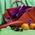 Image-square_50