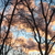 Image-square_50