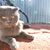 Image-square_50