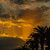 Image-square_50