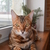 Image-square_50