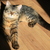 Image-square_50