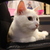 Image-square_50