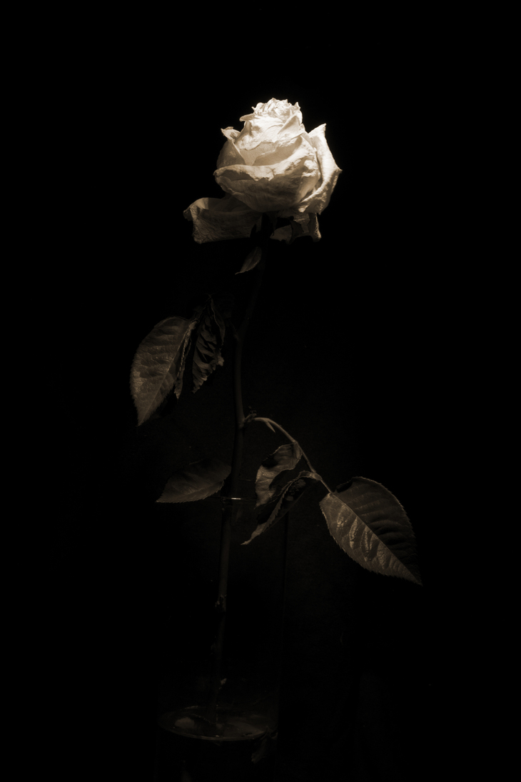 Image-normal
