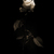Image-square_50