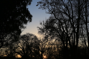 Image-preview_300x200