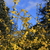 Image-square_50