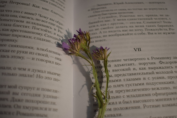 Image-normal