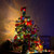 Image-square_50