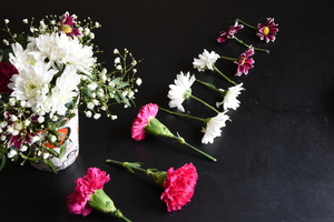 Image-preview_300x200