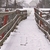 Image-square_50