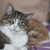 Image-square_50