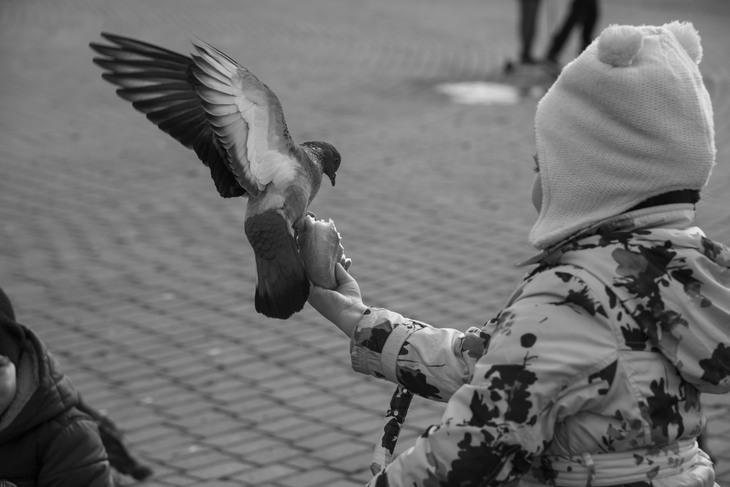 Image-normal