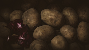 Image-preview_300x200