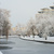 Image-square_50