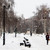 Image-square_50