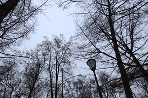 Image-preview_300x200