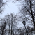 Image-square_50