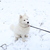 Image-square_50