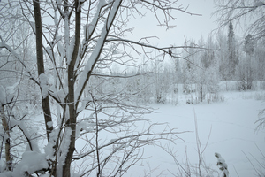 Image-preview_300x200