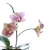 Image-square_50