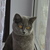 Image-square_50