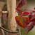 Image-square_50