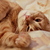 Image-square_50