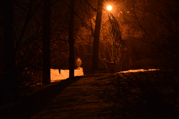 Image-normal