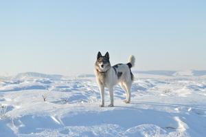 Image-preview_300x200