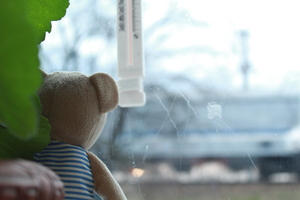 Image-preview_300x200