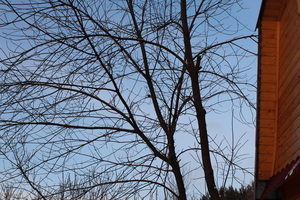 Image-preview_300x200
