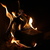 Image-square_50