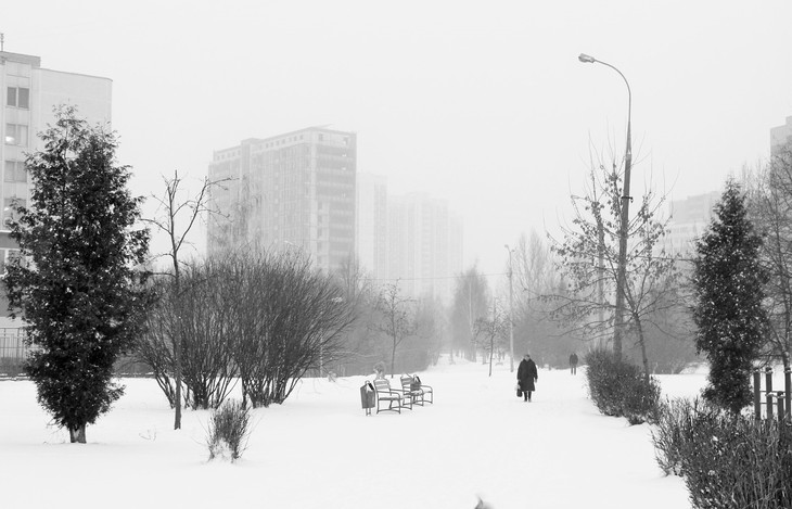 Image-normal