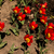 Image-square_50