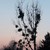 Image-square_50