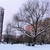 Image-square_50