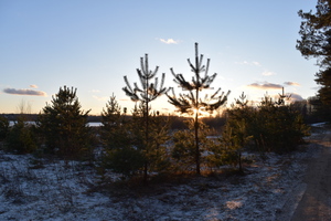 Image-preview_300x200