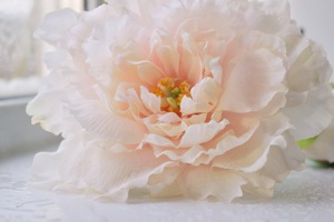 Image-preview_300x200