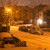 Image-square_50